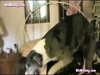 [ Beastiality XXX Movie ] Knotty Knotty in Taming the Beast by Zooskool XXX